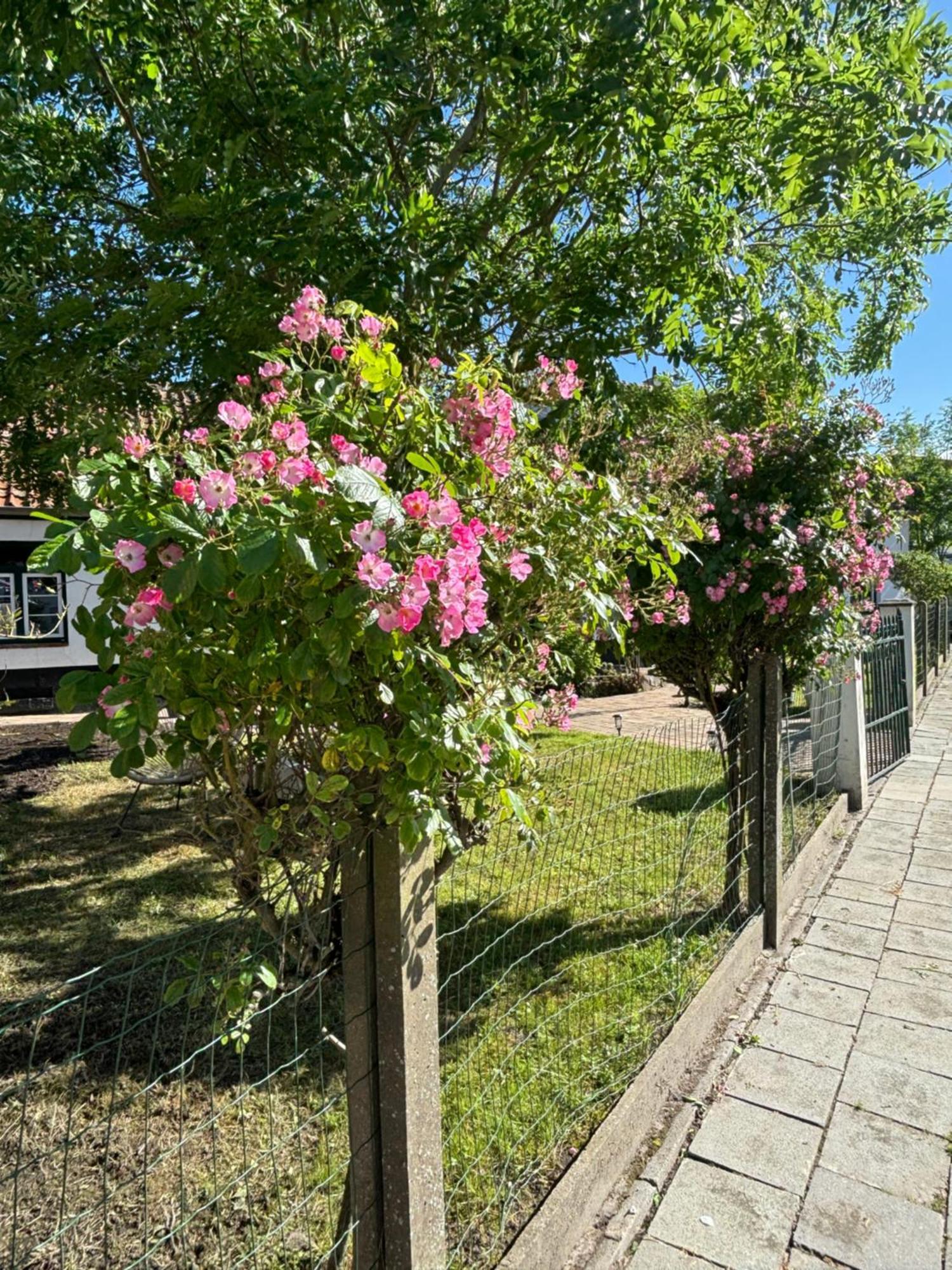 Het Relax Hoeveke Ostende Exterior foto